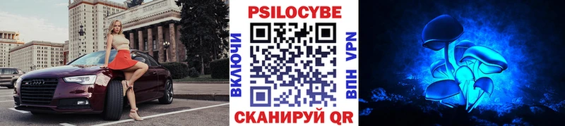 Псилоцибиновые грибы Psilocybine cubensis как найти Саратов